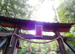 受講生成功祈願 金運神社参拝 の様子